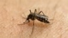 Zika đang bùng phát ở Việt Nam?